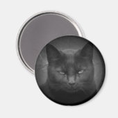 Mad Black cat spotlight Magneet (Voorkant / Achterkant)