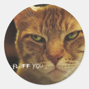 Mad Cat Fluff Ronde Sticker