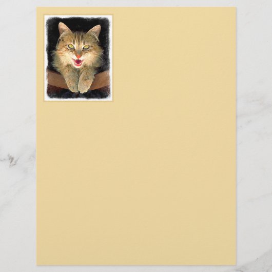 Mad Cat Painting - Cute Original Cat Art (Voorkant)