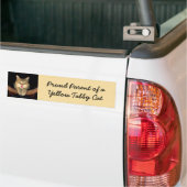 Mad Cat Painting - Cute Original Cat Art Bumpersticker (Op Truck)
