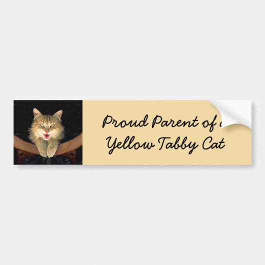 Mad Cat Painting - Cute Original Cat Art Bumpersticker (Voorkant)