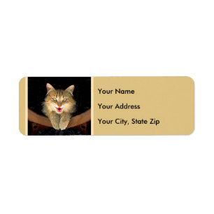 Mad Cat Painting - Cute Original Cat Art Etiket