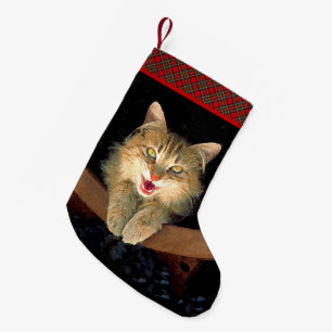 Mad Cat Painting - Cute Original Cat Art Kleine Kerstsok