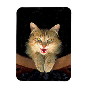 Mad Cat Painting - Cute Original Cat Art Magneet