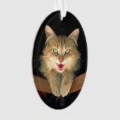 Mad Cat Painting - Cute Original Cat Art Ornament (voorkant)