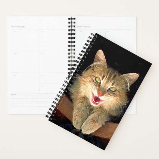 Mad Cat Painting - Cute Original Cat Art Planner (Display)