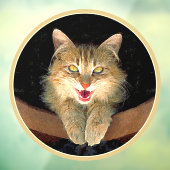 Mad Cat Painting - Cute Original Cat Art Raamsticker (Vel 3)