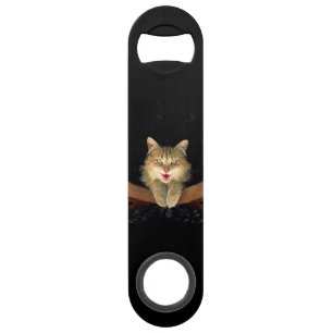 Mad Cat Painting - Cute Original Cat Art Speed Flessenopener