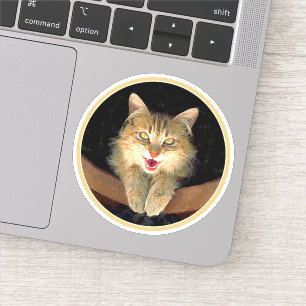 Mad Cat Painting - Cute Original Cat Art Sticker