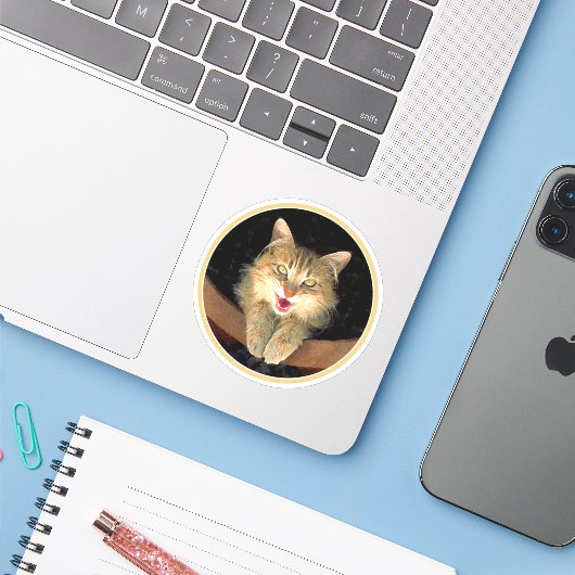 Mad Cat Painting - Cute Original Cat Art Sticker (Laptop met iPhone)