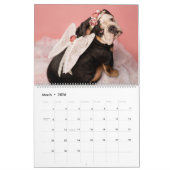 Mad Hatters & Alice Bands Calendar Kalender (Mar 2026)