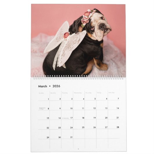 Mad Hatters & Alice Bands Calendar Kalender (Mar 2026)