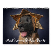 Mad Hatters & Alice Bands Calendar Kalender (Hoes)