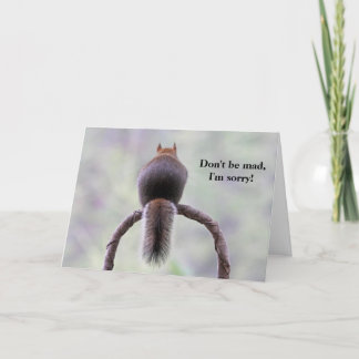 Mad Squirrel Kaart