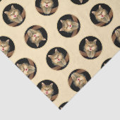 Mad Tabby Cat Portrait Schilderen Schattigee Origi Tissuepapier (Detail)