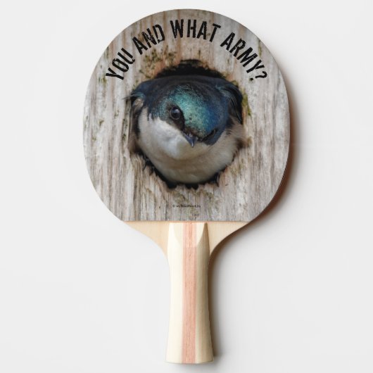 Mad Tree Swallow Songbird in Nestbox Tafeltennisbatje (Achterkant)