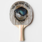 Mad Tree Swallow Songbird in Nestbox Tafeltennisbatje (Voorkant)