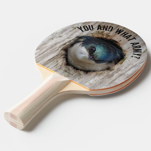 Mad Tree Swallow Songbird in Nestbox Tafeltennisbatje (Voorkant Gekanteld)