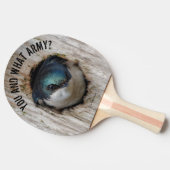 Mad Tree Swallow Songbird in Nestbox Tafeltennisbatje (Zijkant)