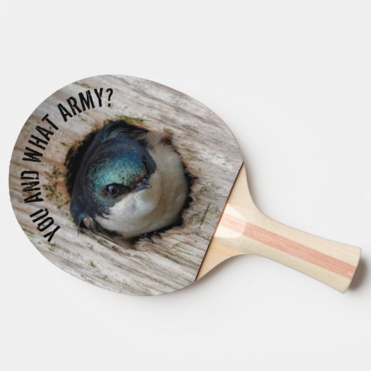 Mad Tree Swallow Songbird in Nestbox Tafeltennisbatje (Zijkant)