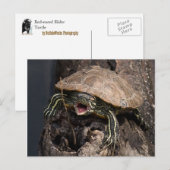 Mad Turtle Briefkaart (Voorkant / Achterkant)