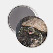 Mad Turtle Magnet (Voorkant / Achterkant)