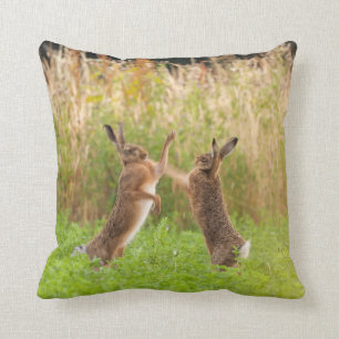 Mad wild hares boksen en vechten in Norfolk UK Kussen