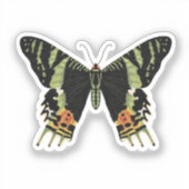 Madagascan Sunset Moth Sticker (Voorkant)