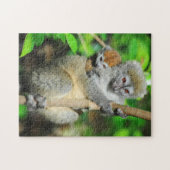 Madagascar, Andasibe, Ile Aux Lemuriën, Moeder Legpuzzel (Horizontaal)
