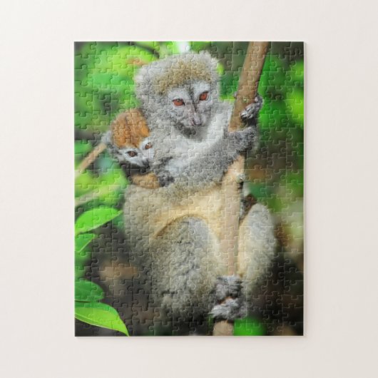 Madagascar, Andasibe, Ile Aux Lemuriën, Moeder Legpuzzel (Verticaal)