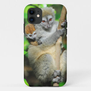 Madagascar, Andasibe, Ile Aux Lemuriens, Moeder Case-Mate iPhone Case