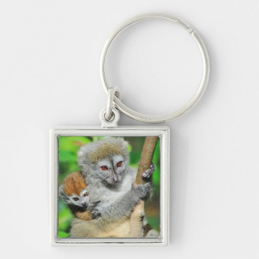 Madagascar, Andasibe, Ile Aux Lemuriens, Moeder Sleutelhanger (Voorkant)