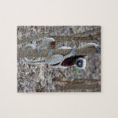 Madagascar, Ankarafantsika-reservaat; Ampijoroa; Legpuzzel (Horizontaal)