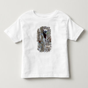 Madagascar, Ankarafantsika Reserve; Ampijoroa; Kinder Shirts