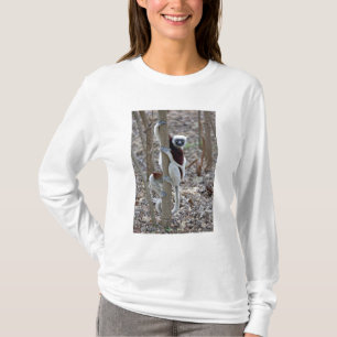 Madagascar, Ankarafantsika Reserve; Ampijoroa; T-shirt