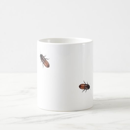 Madagascar Cockroaches Invade Koffiemok (Center)