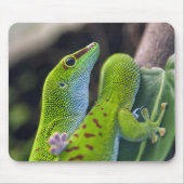 Madagascar day gecko muismat (Voorkant)