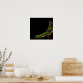 madagascar day gecko poster (Keuken)