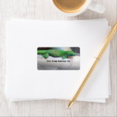 Madagascar Giant Day Gecko Boekplaat Labels (Insitu)