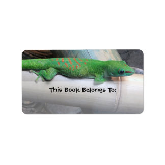 Madagascar Giant Day Gecko Boekplaat Labels