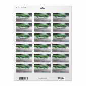 Madagascar Giant Day Gecko Boekplaat Labels (Full Sheet)