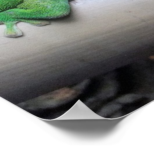 Madagascar Giant Day Gecko Foto Poster (Hoek)