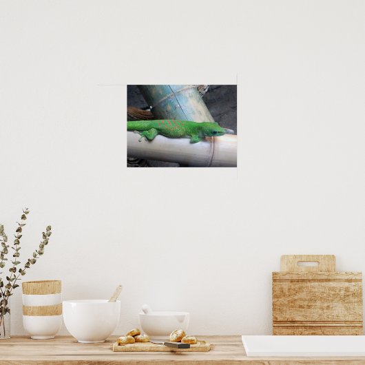 Madagascar Giant Day Gecko Foto Poster (Keuken)
