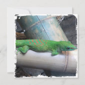 Madagascar Giant Day Gecko Square uitnodigingen (Voorkant)
