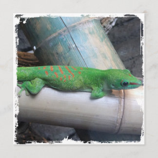Madagascar Giant Day Gecko Square uitnodigingen