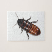 Madagascar Hisssing Cockroach Puzzle Legpuzzel (Horizontaal)