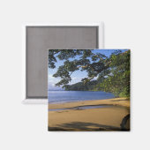 Madagascar, Nosy Mangabe Special Reserve, op Magneet (Voorkant / Achterkant)