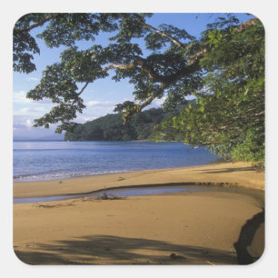Madagascar, Nosy Mangabe Special Reserve, op Vierkante Sticker
