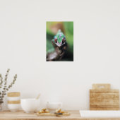 Madagascar, Rode balk Panterkameleon Poster (Keuken)