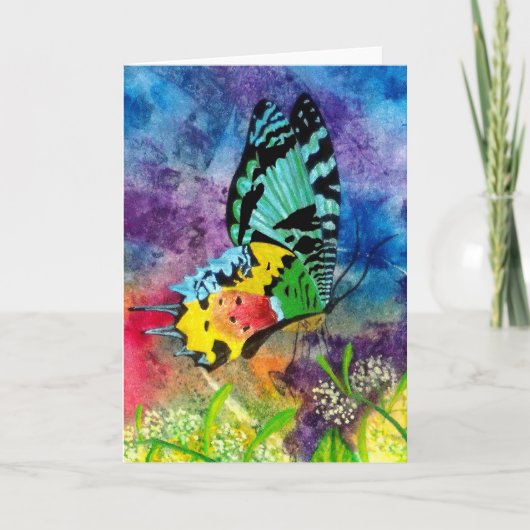 Madagascar Splash Profiel Kaart (Voorkant)